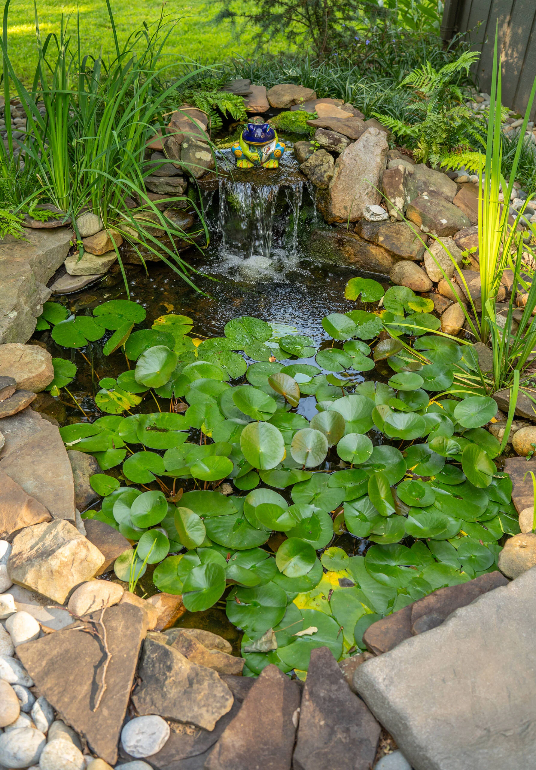 Before and after backyard water feature installation in Greenville, SC