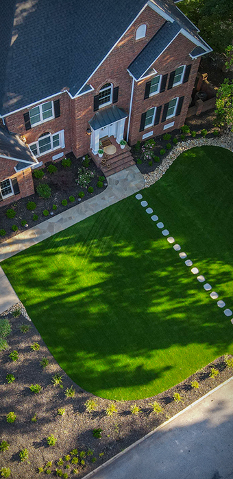 landscaping-yard-service