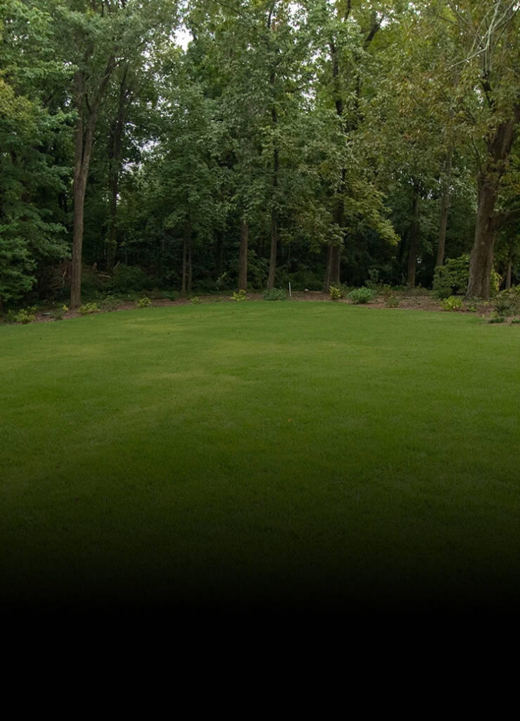 luxury-landscaping-greenville-sc