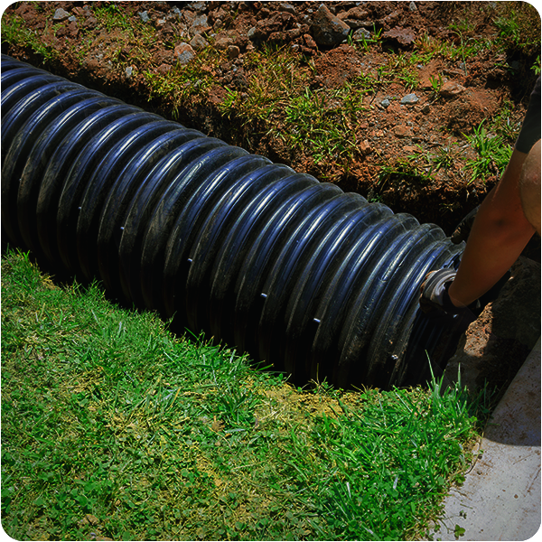 Grading and drainage solutions for landscaping in Greenville, SC