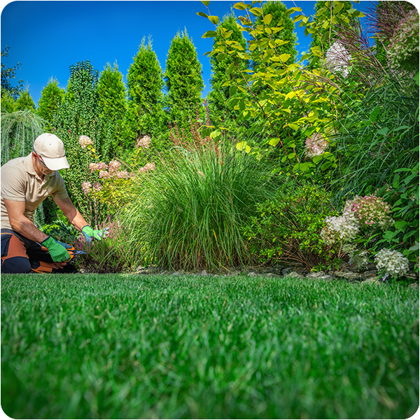 Mulch and edging services for landscaping in Greenville, SC