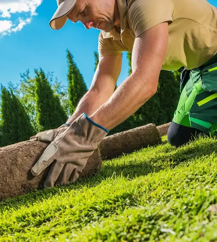 Consultation for landscaping services in Greenville SC with discerning homeowners